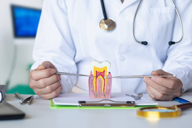 Best Broken or Chipped Tooth Repair in St Paul, TX